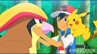 Ash's Final Goodbye - Pidgeot RETURNS - Aim to be a Pokémon Master Episode 11 - Journeys EP 147 AMV.