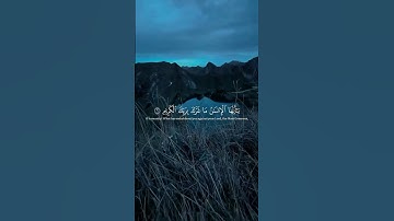 ( يَا أَيُّهَا الْإِنسَانُ مَا غَرَّكَ بِرَبِّكَ الْكَرِيمِ ) - القارئ ياسر الدوسري #قرآن