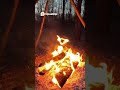 Cozy Cabin Life Fireplace Vibes & Forest Escapes