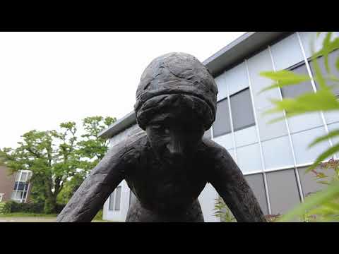 Bindster van Roggeschoven gekoppeld aan Stöppelhaene Raalte