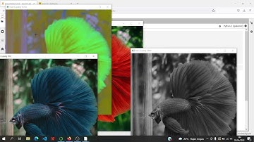 Konversi Warna dan meyimpan gambar Menggunakan Python