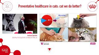 How can we do better in preventative care for cats