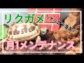 【リクガメ】月１ルーティン～飼育ケージメンテナンスとヤシガラ追加♬～