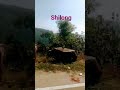 khoobsoorat nazare#nature#lovemusic #mobile yutuber#short#💓💞💕❤️🩷