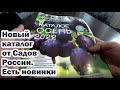 Обзор каталога "Осень 2022". Сады России