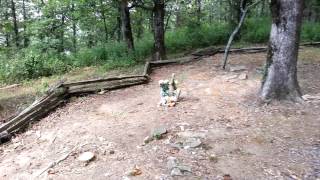 Pioneer Cemetery Talimena Trail