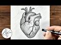 How To Draw A Human Heart Easy | Heart Diagram | Tutorial for beginners