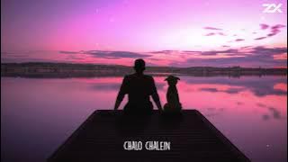 ZelliX   Chalo Chalein Official Audio720P 60FPS