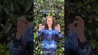 The Energy Medicine Immersion Program