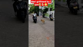 girlfriend bhag gai🤣🙄🐕 #dog #funny #pets #goldenretriever #pet #funnydog #shortsfeed #shots