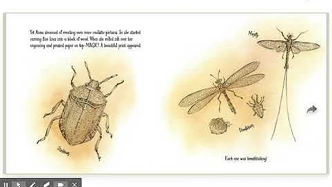 Out of School and Into Nature: The Anna Comstock S...