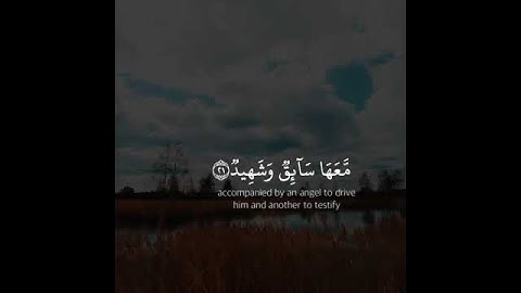 تلاوة من سورة ق القارئ وديع اليمني