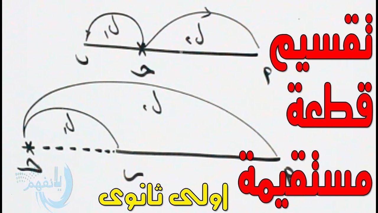 تقسيم قطعة مستقيمة ( التقسيم من الداخل ومن الخارج) هندسة تحليلية اولى ثانوى الترم الثانى