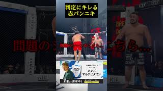 判定にキレる赤パンニキ