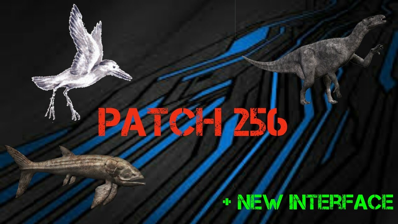 Patch 256 Avis - YouTube