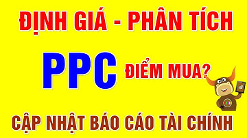 F186 - Cổ phiếu PPC | Phân tích và Định giá Cổ phiếu PPC | Thị trường Chứng khoán