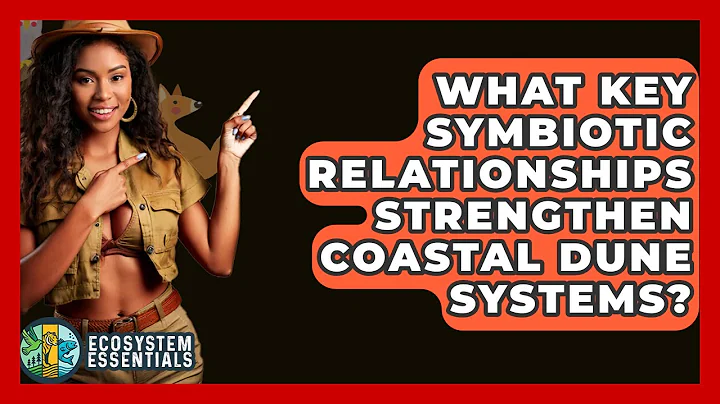What Key Symbiotic Relationships Strengthen Coastal Dune Systems? - Ecosystem Essentials