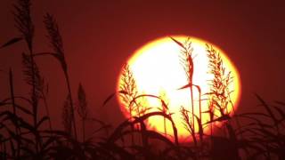 Time lapse of a sunrise in texas taken with swarovski atx 65mm
spotting scope, phoneskope adapter and iphone 6s.