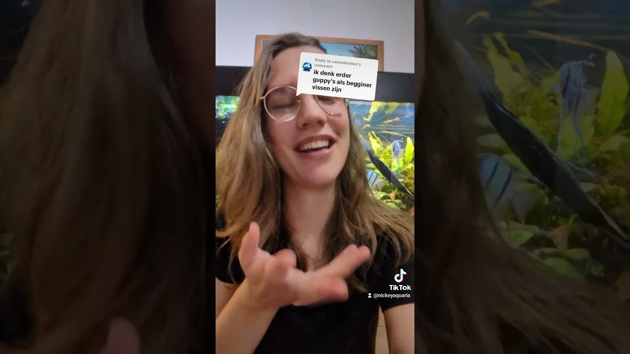 Guppies als beginnersvis?