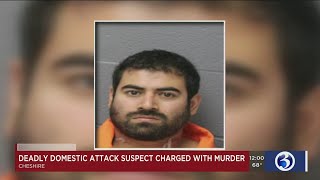 Video: Deadly domestic violence attack suspect charged with murder