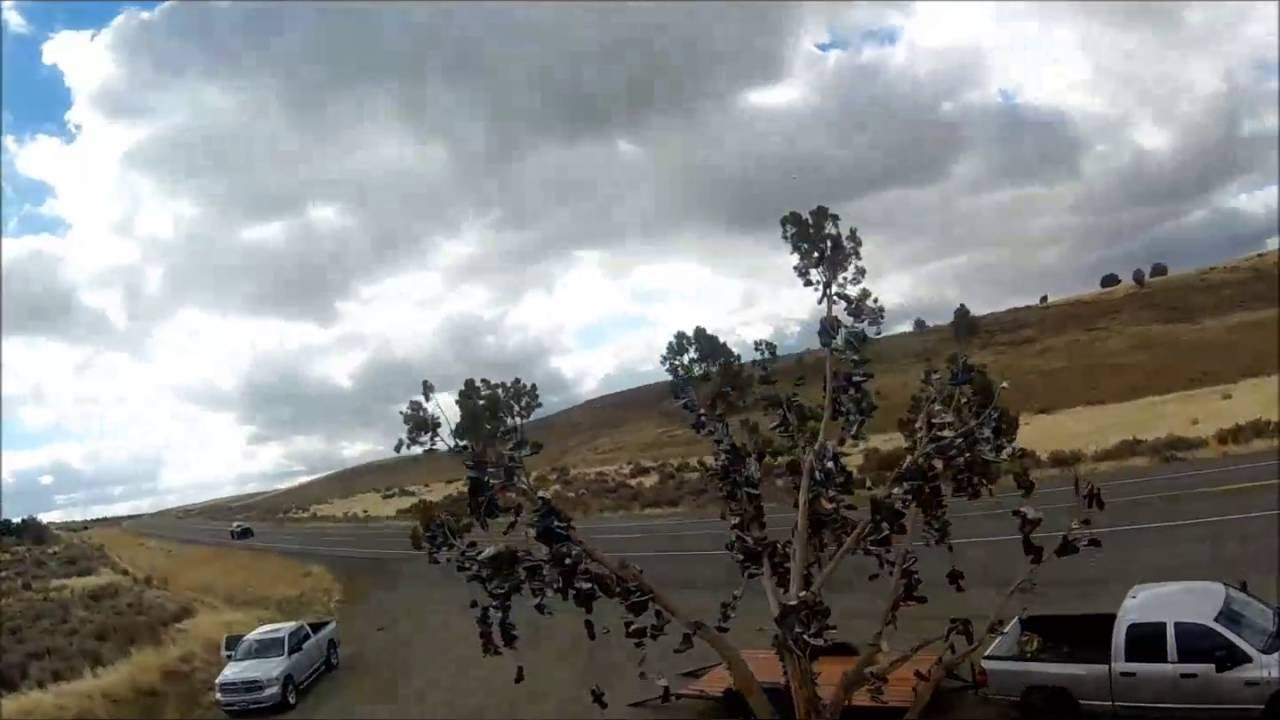 Team DV8 - The Shoe Tree Dancing