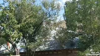 Malatya Pütürge Aliçeri Köyü