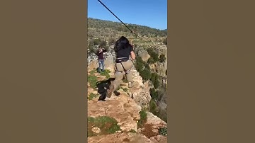 Spot the dog 🥸 wait for it (epic adventures in Lebanon) Insta- bashirchoucair #shorts #shortsfeed