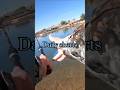 Fishing  shorts fishing outdoors youtube