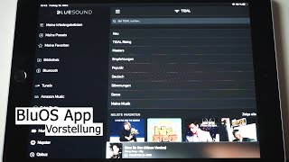 Bluesound App - Grundfunktionen der BluOS App screenshot 5