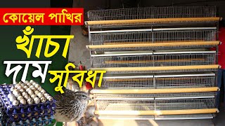 ভালো মানের কোয়েল পাখির খাঁচা তৈরি | কোয়েল পাখির খাঁচা কোথায় পাওয়া যায় | Quail bird cage