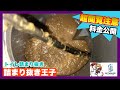 【詰まり抜き】トイレ詰まりを抜いたら大量にずっと流れてきました！作業料金を公開！職人による高圧洗浄で排水管をきれいに掃除！すっきり！[drain][排水溝掃除][現場]
