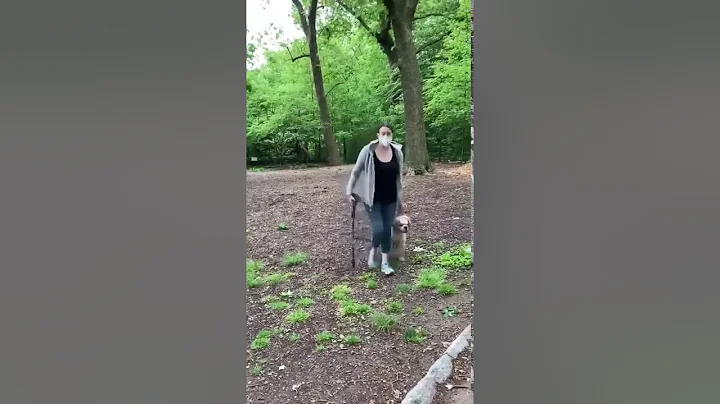 central park karen (full video)