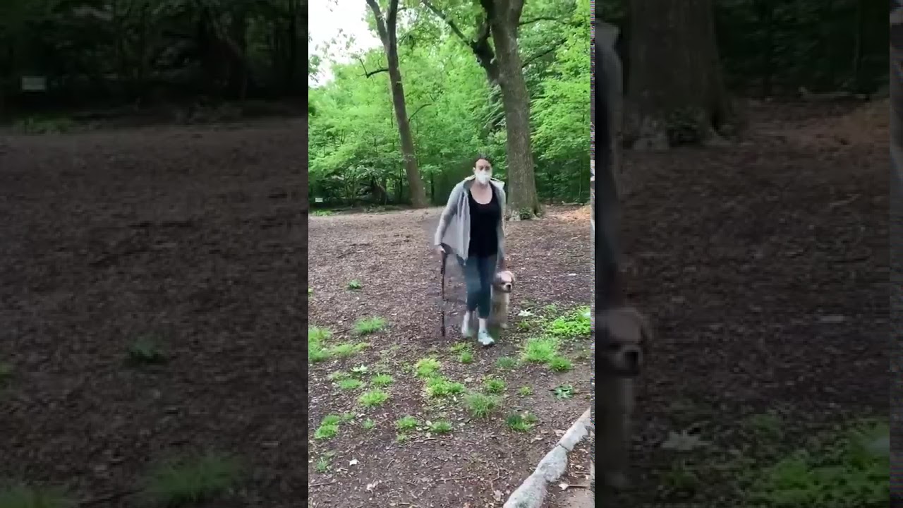 central park karen (full video) YouTube