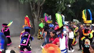 Chinelos Colonia Las Cruces 2024 (TETELCINGO MORELOS)