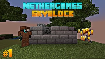 Nethergames Skyblock New journey #1