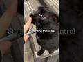 Stop trying to control #aesthetic #edit #popular #trending #fypシ゚ #music