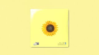 Video thumbnail of "Pop Type Beat "Sunflower" | Prod. Noden"