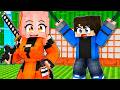 EGY NINJA LÁNY ELRABOLT ENGEM A MINECRAFTBAN!