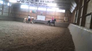 Paardrijden Manege Moedig Voorwaarts