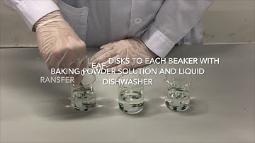 Little Scientist #11: Photosynthesis and Floating Leaf-Disks