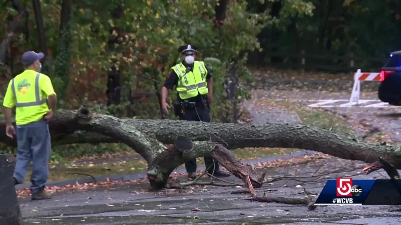 Cleanup under way after storm downs trees, power lines - YouTube