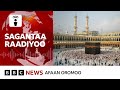 Zakat  al-fixir fi Sadaqaa maaltu adda godha? | BBC News Afaan Oromoo