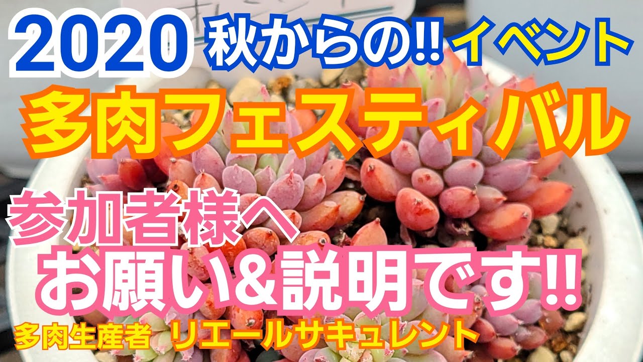 多肉植物 秋からの イベント 全国多肉フェスティバルのお願いと説明です Youtube 多肉植物 秋からの イベント 全国多肉フェスティバルのお願いと説明です Youtube