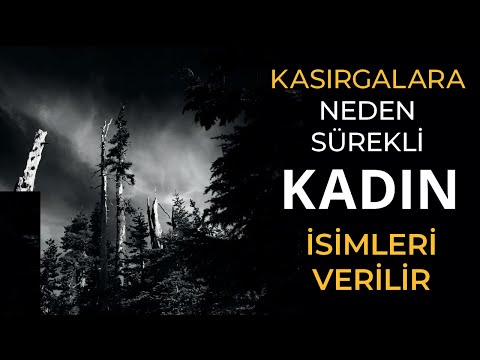 Video: Kasırgalara Neden Kadın Isimleri Deniyor?