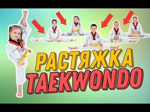 ТХЭКВОНДО РАСТЯЖКА, АКРОБАТИКА, ЛАГЕРЬ TAEKWONDO #тхэквондо #taekwondo #дети