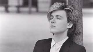 David Sylvian - Brilliant Trees (Version 2000)