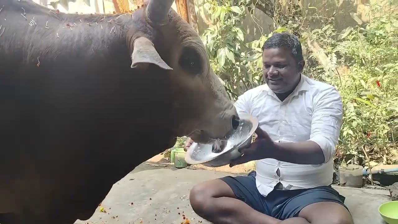 Har Har Mahadev🌺🌺🙏🙏🙏