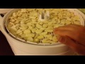 Сушеный чеснок в сушилке Вольтера-1000 Люкс: как сделать приправу...