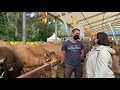 Entrevista a david garca ganadero de pravia  el campo de asturias