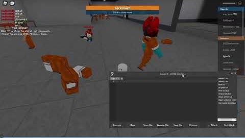 how to inject synapse x for dummy